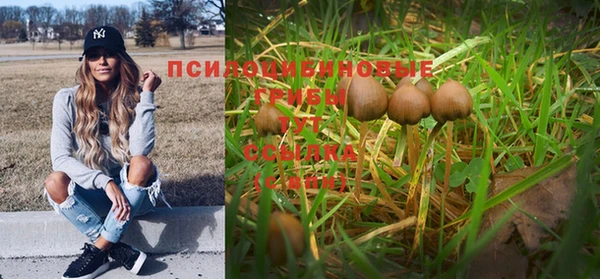 ГАЛЛЮЦИНОГЕННЫЕ ГРИБЫ Армянск