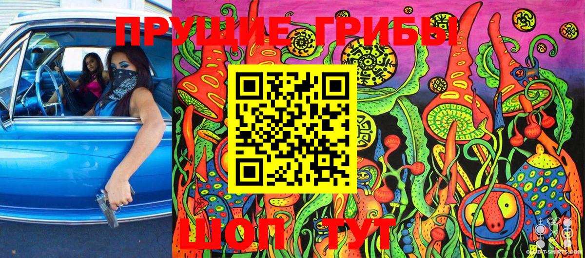 Галлюциногенные грибы Psilocybe Тында