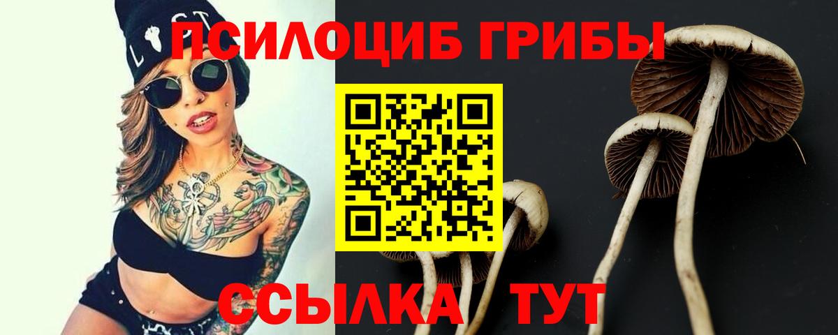 Тында  Галлюциногенные грибы Cubensis  Вход с VPN  Псилоцибиновые грибы Magic Shrooms 