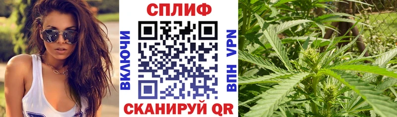 Каннабис AK-47  mega зеркало  Тында 